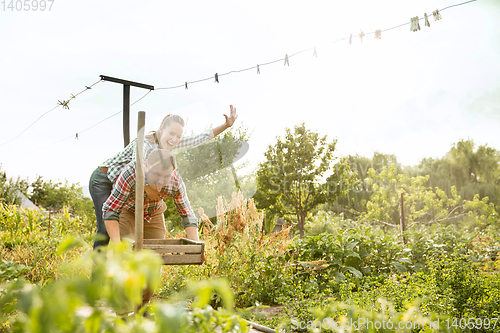 Image of Young and happy farmer\'s couple at their garden in sunny day