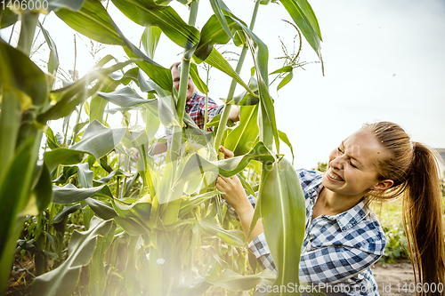 Image of Young and happy farmer\'s couple at their garden in sunny day