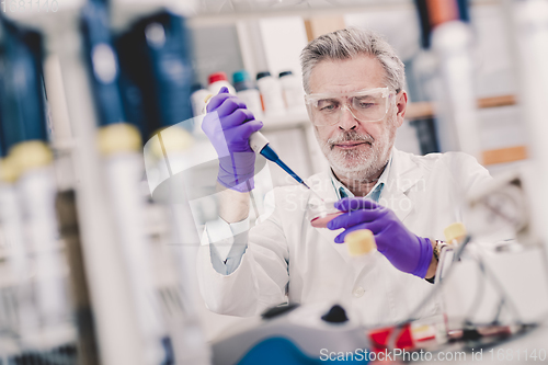 Image of Life scientist researching in the laboratory.