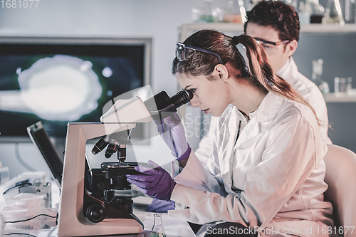 Image of Young researchers researching in life science laboratory.