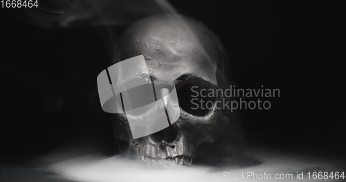 Image of Black skull in the darkness with smoke and fog