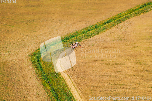 Image of Aerial View Of Rural Landscape. Combine Harvester Working In Field, Collects Seeds. Harvesting Of Wheat In Late Summer. Agricultural Machine Collecting Golden Ripe. Bird\'s-eye Drone View