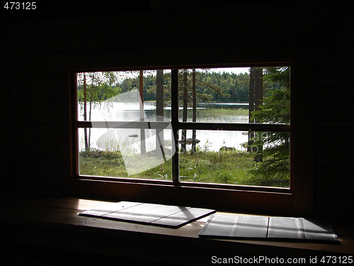 Image of View of forest through sauna window