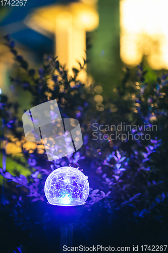 Image of Night View Of Flowerbed Illuminated By Energy-Saving Solar Powered Colorful Multi-colored Lantern On Yard. Beautiful Small Garden With Blue Light, Lamp In Flower Bed. Garden Design