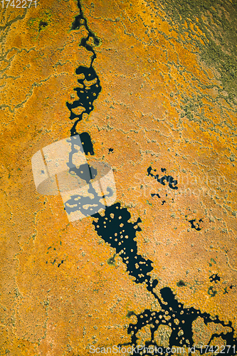 Image of Miory District, Vitebsk Region, Belarus. The Yelnya Swamp. Upland And Transitional Bogs With Numerous Lakes. Elevated Aerial View Of Yelnya Nature Reserve Landscape. Famous Natural Landmark