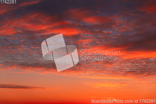 Image of Sunset Cloudy Sky With Clouds. Sunset Sky Natural Background. Dramatic Sky. Sunset In Yellow, Orange, Pink Colors