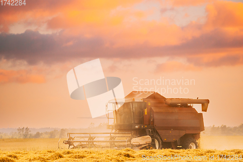 Image of Combine Harvester Working In Field. Harvesting Of Wheat In Summer Season. Agricultural Machines Collecting Wheat Seeds
