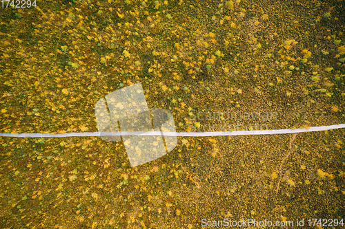 Image of Miory District, Vitebsk Region, Belarus. The Yelnya Swamp. Aerial View Of Yelnya Nature Reserve Landscape. Narrow Wooden Hiking Trail Winding Through Marsh. Cognitive Boardwalk Trail Over A Wetland