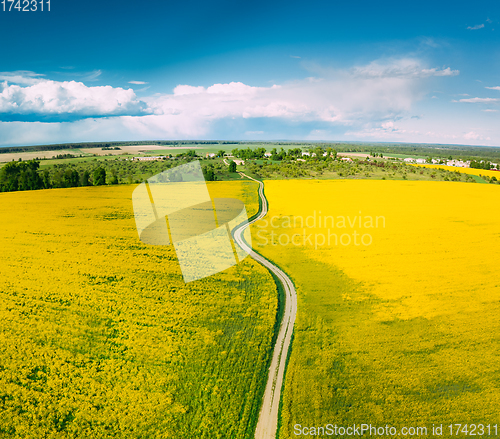 Image of Aerial View Of Agricultural Landscape With Flowering Blooming Rapeseed, Oilseed In Field In Spring Season. Blossom Of Canola Yellow Flowers. Beautiful Rural Country Road