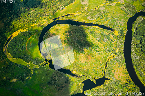 Image of Aerial View Green Forest Woods And River Landscape In Sunny Spring Summer Day. Top View Of Beautiful European Nature From High Attitude In Autumn Season. Drone View. Bird\'s Eye View