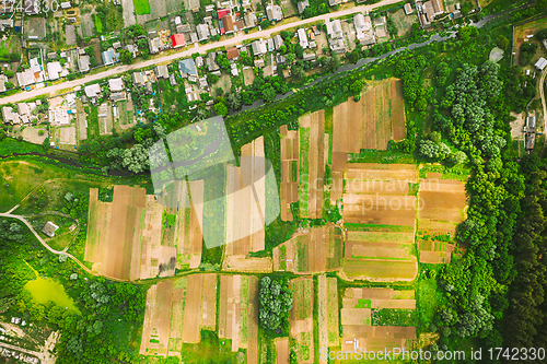 Image of Aerial View Of Vegetable Gardens In Small Town Or Village. Skyline In Summer Evening. Village Garden Beds In Bird\'s-eye View