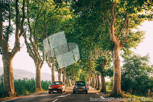 Image of Cars driving on a country road lined with trees. Bright sunlight at sunset in the evening. Cars on background of French landscape