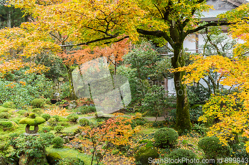 Image of Japanese temple 