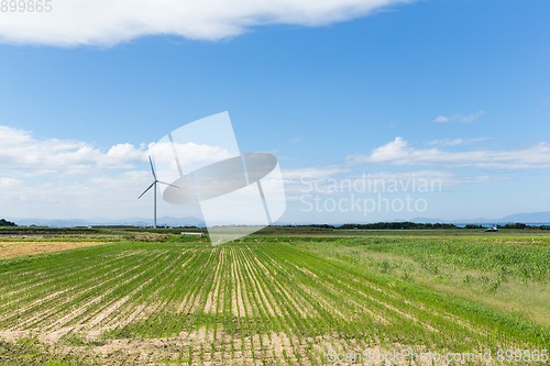 Image of Wind turbine and field