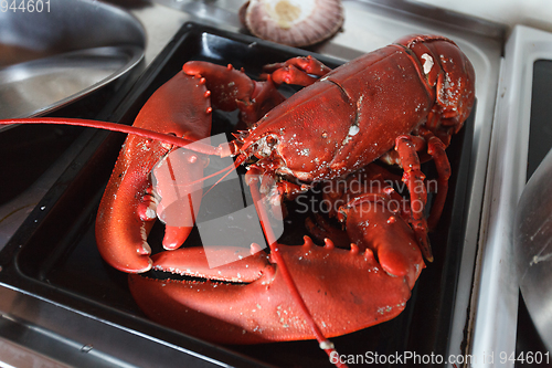 Image of freshly cooked lobster lying on baking tray