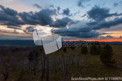 Image of Landscape with dead forest