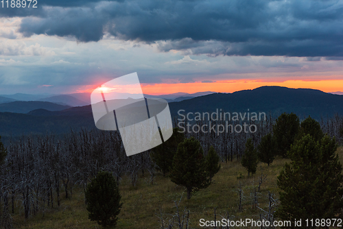 Image of Landscape with dead forest