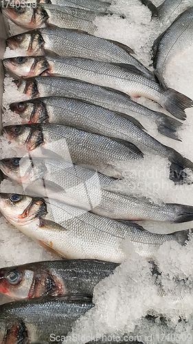 Image of Fresh sibas fish on ice for sale in market
