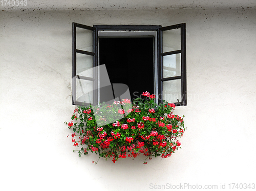 Image of Open window decorated with beautiful bright geranium flowers 