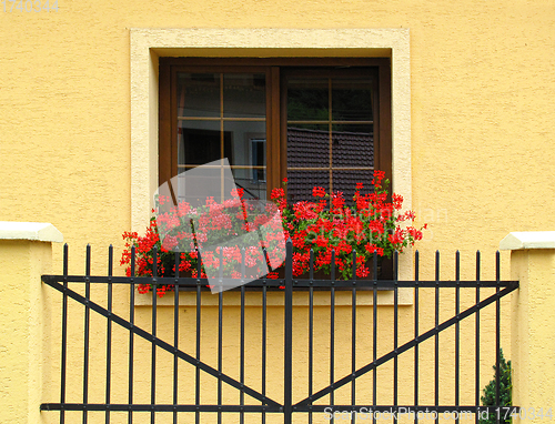 Image of Window of stone building decorated of red geranium flowers