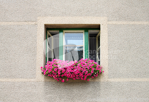 Image of Open window decorated with bright pink petunia flowers