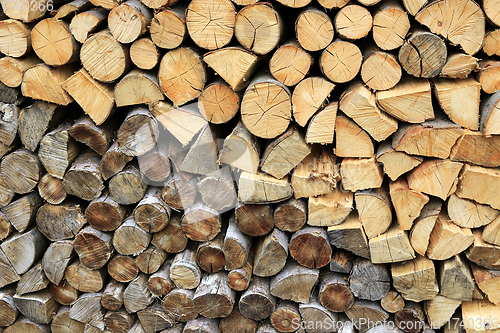 Image of Firewood pile stacked chopped wood trunks