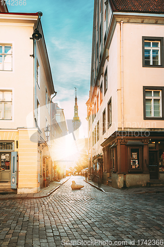 Image of Tallinn, Estonia. Famous Old Traditional Town Hall In Sunny Evening. Sun Shining Through Old Town Narrow Streets. Famous Landmark And Popular Place. Destination Scenic. UNESCO World Heritage Site. Po