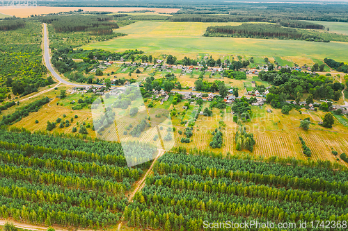 Image of Aerial View Green Forest Deforestation Area Landscape Near Village. Top View Of New Young Growing Forest. European Nature From High Attitude In Summer