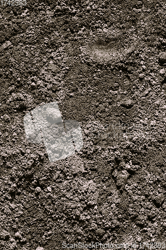 Image of Black Dark Soil Dirt Background Texture, Natural Pattern. Flat Top View.