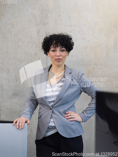 Image of Portrait of successful female software developer