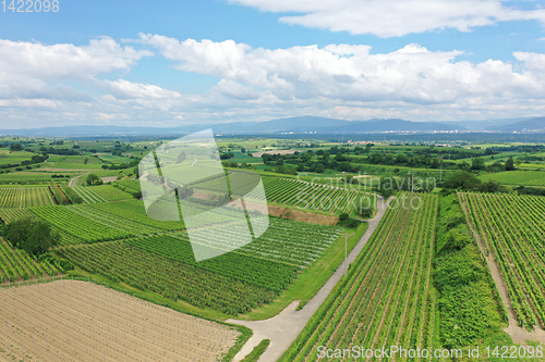 Image of aerial view vineyard scenery at Kaiserstuhl Germany