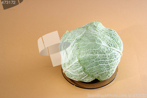 Image of Green cabbage vegetable