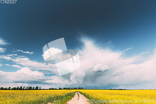 Image of Dramatic Rain Sky With Rain Clouds On Horizon Above Rural Landscape Canola Colza Rapeseed Field. Country Road. Agricultural And Weather Forecast Concept