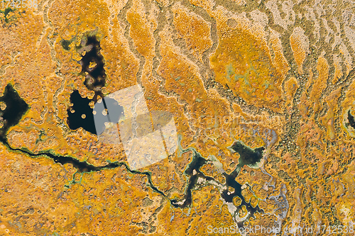 Image of Miory District, Vitebsk Region, Belarus. The Yelnya Swamp. Upland And Transitional Bogs With Numerous Lakes. Elevated Aerial View Of Yelnya Nature Reserve Landscape. Famous Natural Landmark