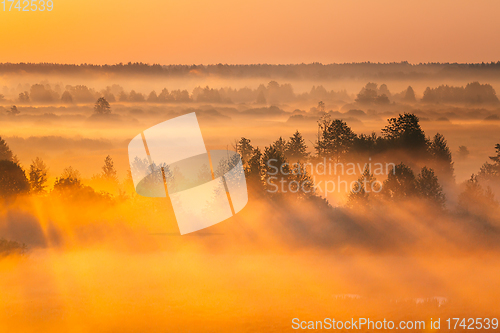 Image of Amazing Sunrise Light Above Misty Landscape. Scenic View Of Foggy Morning In Misty Forest Park Woods. Summer Nature Of Eastern Europe. Sunset Dramatic Sunray Light Sunbeam