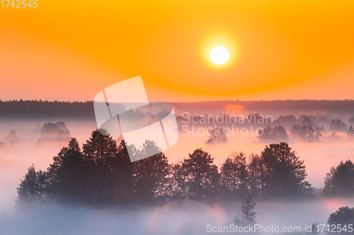 Image of Amazing Sunrise Over Misty Landscape. Scenic View Of Foggy Morning Sky With Rising Sun Above Misty Forest And River. Early Summer Nature Of Eastern Europe. Sunset Dramatic Sunray Light Sunbeam