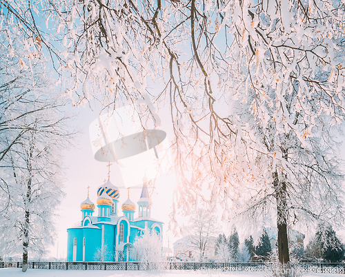 Image of Village Krasnoe, Gomel Region, Belarus. Old Orthodox Church Of The Assumption At Sunny Winter Snowy Day. Famous Landmark In Snowy Park.