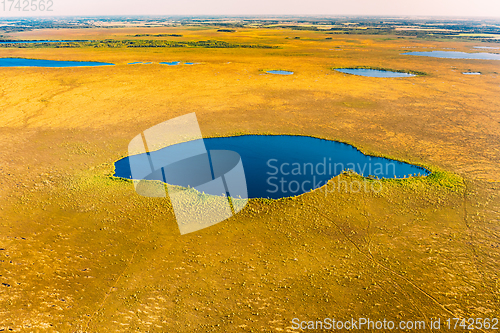 Image of Miory District, Vitebsk Region, Belarus. The Yelnya Swamp. Upland And Transitional Bogs With Numerous Lakes. Elevated Aerial View Of Yelnya Nature Reserve Landscape. Famous Natural Landmark