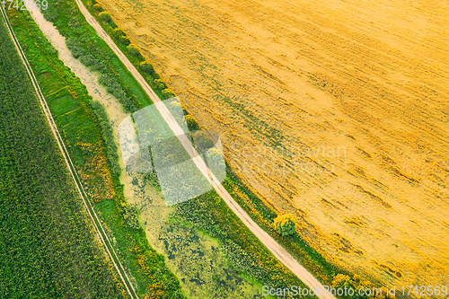 Image of Aerial View Of Countryside Road Through Summer Rural Field. Road Between Corn Maize Plantation And Young Wheat Landscape