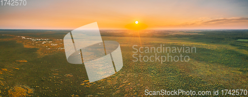 Image of Miory District, Vitebsk Region, Belarus. The Yelnya Swamp. Upland And Transitional Bogs With Numerous Lakes. Elevated Aerial View Of Yelnya Nature Reserve Landscape. Famous Natural Landmark. Panorama