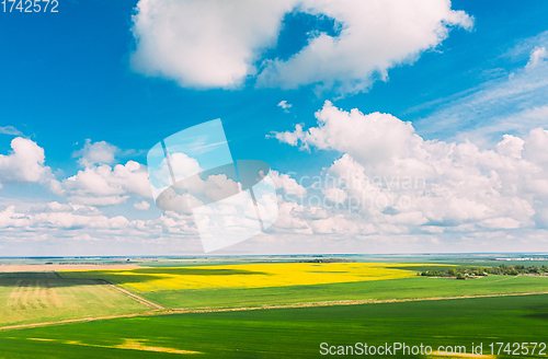 Image of Aerial View Of Agricultural Landscape With Flowering Blooming Rapeseed, Oilseed And Green Young Wheat Field In Spring Season. Blossom Of Canola Yellow Flowers. Beautiful Rural Landscape.
