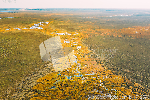 Image of Miory District, Vitebsk Region, Belarus. The Yelnya Swamp. Upland And Transitional Bogs With Numerous Lakes. Elevated Aerial View Of Yelnya Nature Reserve Landscape. Famous Natural Landmark