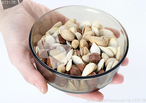 Image of Nuts