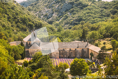 Image of Notre-dame De Senanque Abbey, Vaucluse, France. Beautiful Landscape Lavender Field And An Ancient Monastery Abbaye Notre-dame De Senanque.