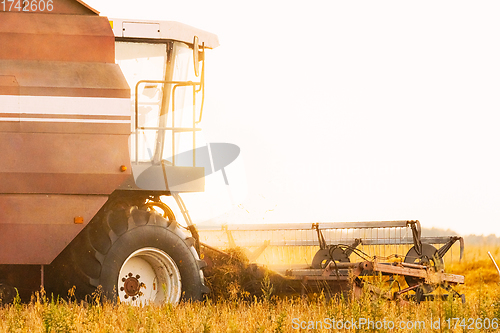 Image of Combine Harvester Working In Field. Harvesting Of Wheat In Summer Season. Agricultural Machines Collecting Wheat Seeds