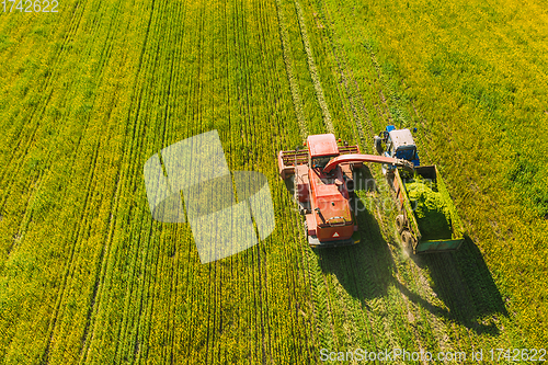 Image of Aerial View Of Rural Landscape. Combine Harvester And Tractor Working Together In Field. Harvesting Of Oilseed In Spring Season. Agricultural Machines Collecting Blooming Rapeseeds Canola Colza. Elev