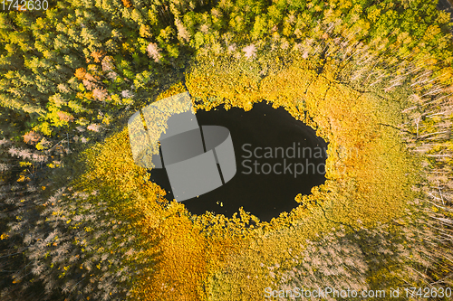 Image of Braslaw Or Braslau, Vitebsk Region, Belarus. Aerial View Of Round Lake And Green Forest Landscape In Sunny Autumn Day. Top View Of Famous Lakes. Natural Landmarks