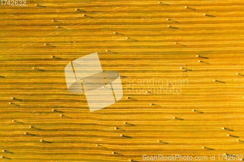 Image of Aerial View Of Summer Hay Rolls Straw Field Landscape In Evening. Haystack, Hay Roll in Sunrise Time. Natural Agricultural Background Backdrop Harvest Season.