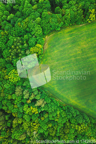 Image of Aerial View Spring Green Field And Forest Landscape. Top View Of Field And Forest Belt. Bird\'s Eye View