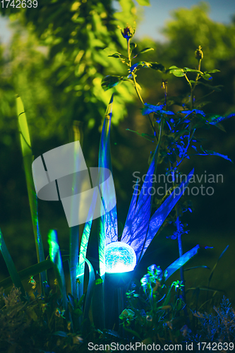 Image of Night View Of Flowerbed Illuminated By Energy-Saving Solar Powered Colorful Multi-colored Lantern On Yard. Beautiful Small Garden With Blue Light, Lamp In Flower Bed. Garden Design